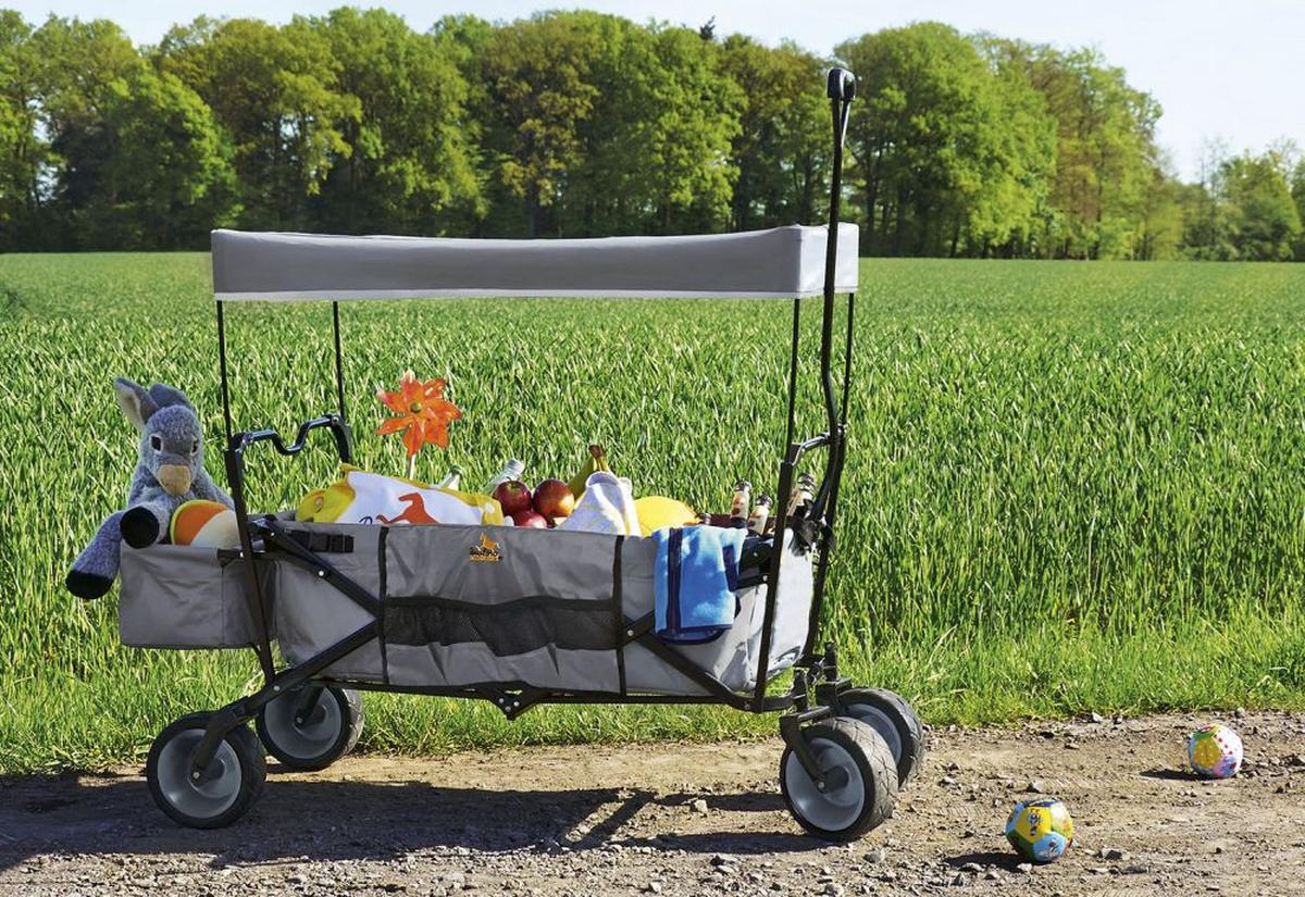 Bollerwagen Klapp-Bollerwagen Paxi - Grau, Basics, Textil/Metall (124/59/67cm) - Pinolino