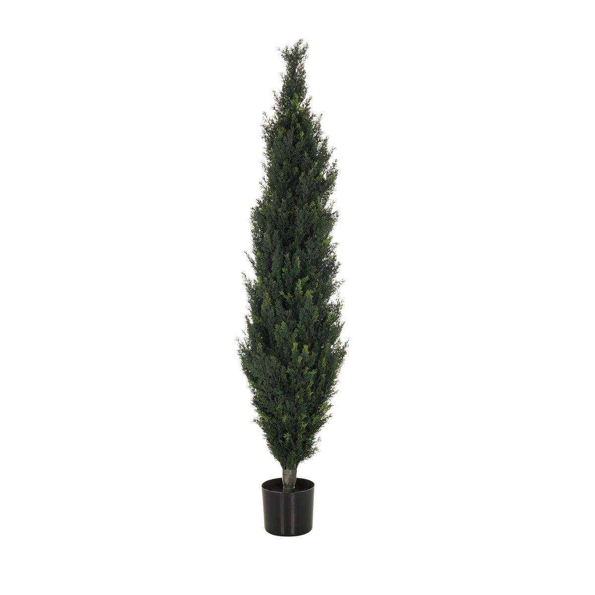 Kunstpflanze Cedrus 152 Cm Grün - Schwarz/Grün, Basics, Kunststoff (35/152/35cm) - MID.YOU