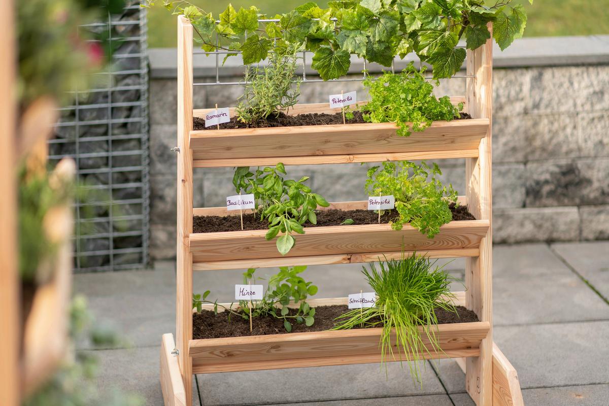 GARTENREGAL KRÄUTERREGAL L - Lärchefarben, Basics, Holz (80/95/50cm)