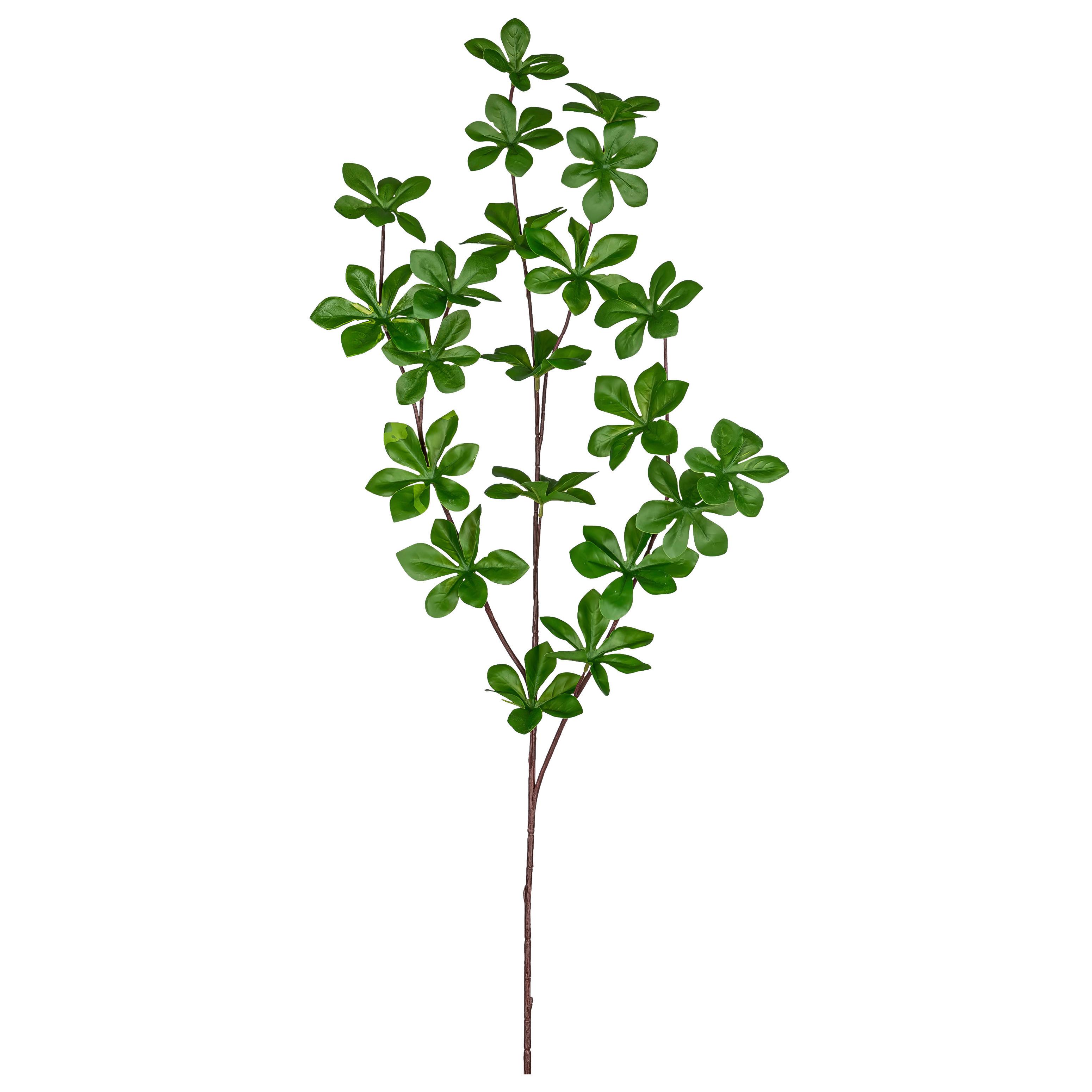 Dekoračná vetvička LOUISIANAZWEIG, V: 71cm - hnedá/zelená, Konventionell, plast (71cm) - Mömax