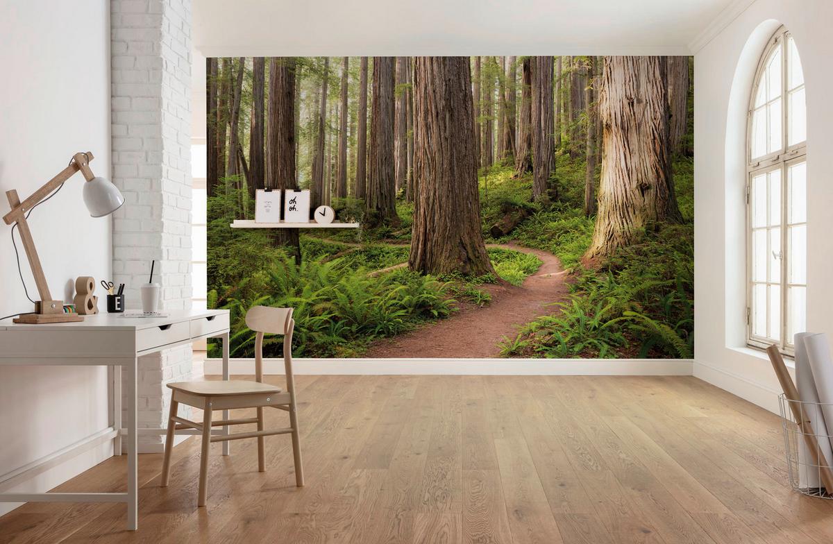 Fototapete Redwood Trail - Multicolor, Trend, Textil (450/280cm)