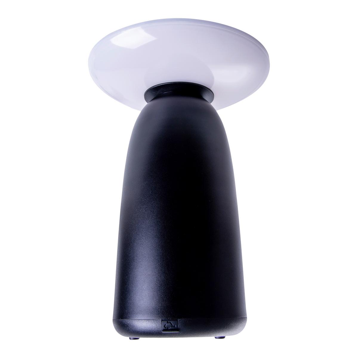 Solarleuchte 3191022 - Schwarz, Design, Kunststoff/Metall (16/22,5cm) - Näve