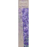 Diffuser Lavendel - Naturfarben, Basics (5/24cm) - James Wood