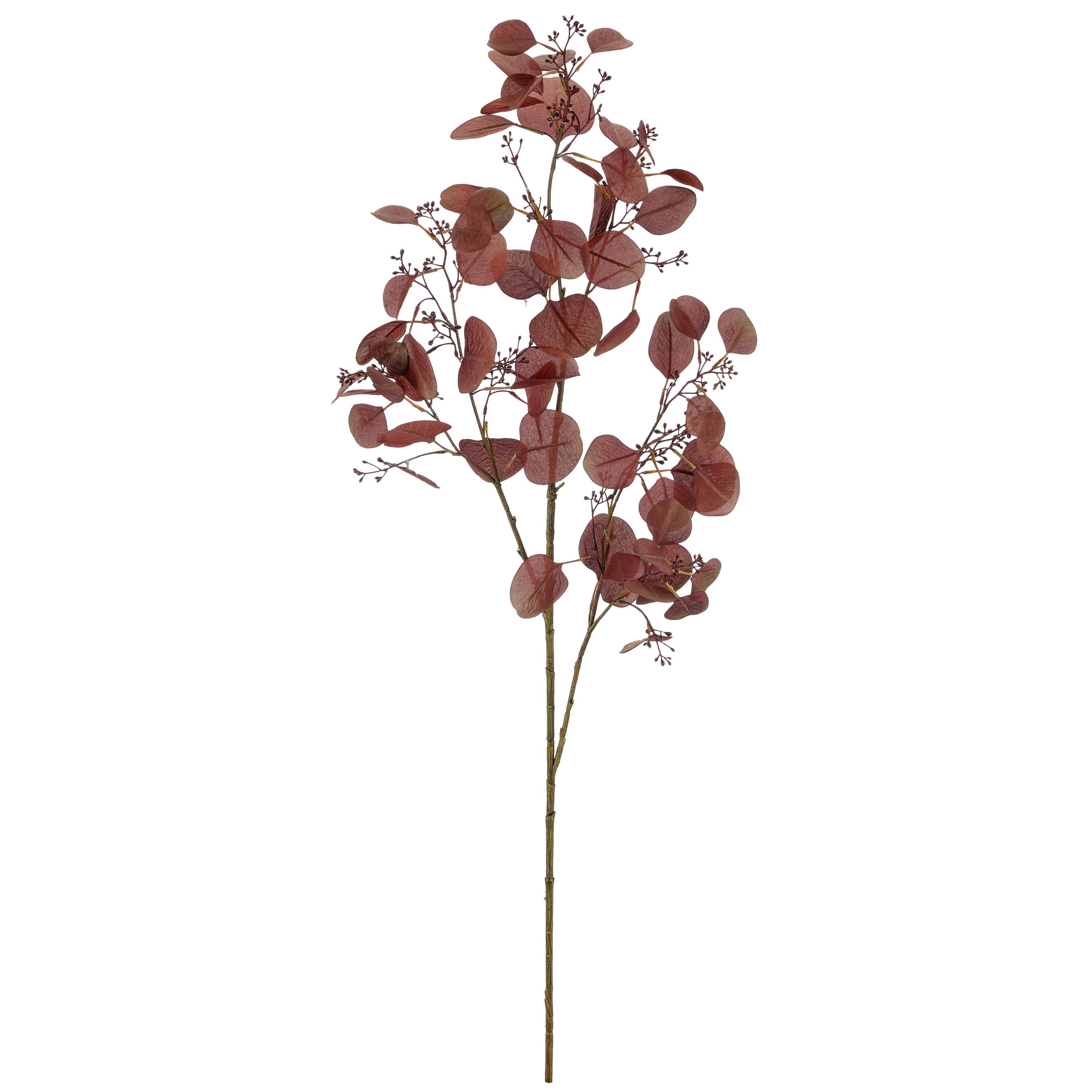 Umělá rostlina EUKALYPTUSZWEIG I -PAZ- - tmavě hnědá, Basics, plast (50/112/50cm) - Mömax