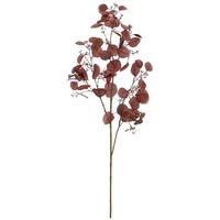 Umělá rostlina EUKALYPTUSZWEIG I -PAZ- - tmavě hnědá, Basics, plast (50/112/50cm) - Mömax