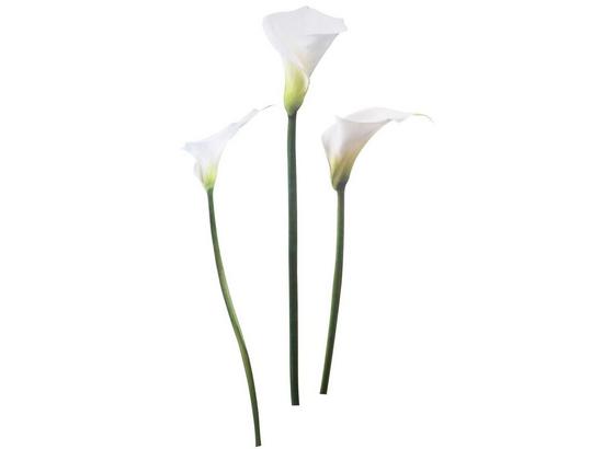 Nálepka Dekorační 42488 Kds - bílá, umělá hmota (50/70cm) - Mömax modern living Nálepka Dekorační 42488 Kds - bílá, umělá hmota (50/70cm) - Mömax modern living