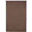 Verdunkelungsrollo Sarah Halbtransparent 60x150 cm - Taupe/Braun, MODERN, Textil (60/150cm) - Luca Bessoni