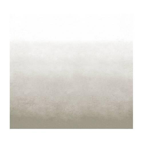 Fototapete Degrade Warm Grau - Grau, Trend, Papier/Kunststoff (300/300cm)