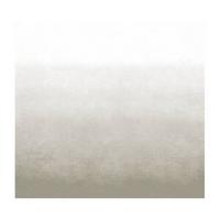 Fototapete Degrade Warm Grau - Grau, Trend, Papier/Kunststoff (300/300cm)