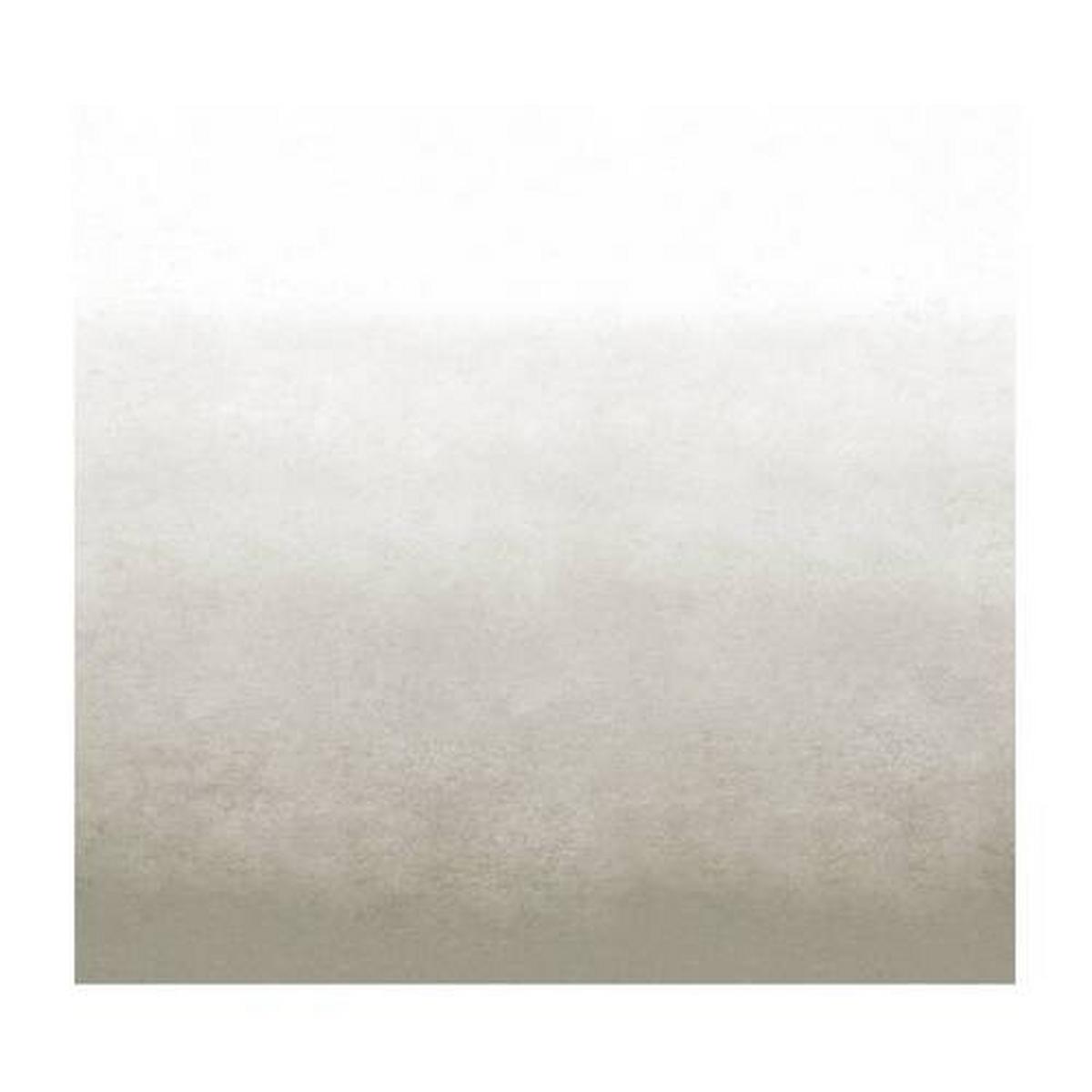 Fototapete Degrade Warm Grau - Grau, Trend, Papier/Kunststoff (300/300cm)