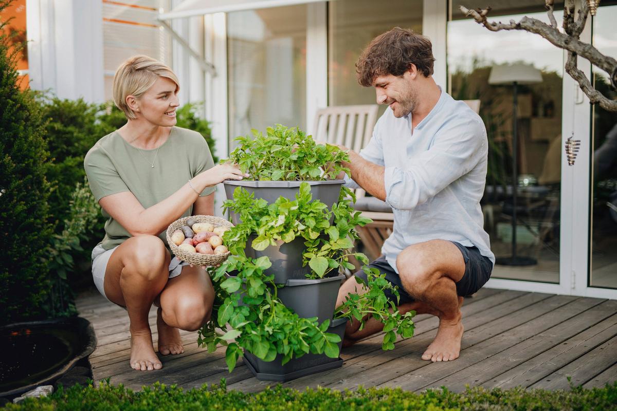 Übertopf Paul Kunststoff Outdoor B/H/T: 44x65x44 cm - Anthrazit, Basics, Kunststoff (44/65/44cm) - Gusta Garden