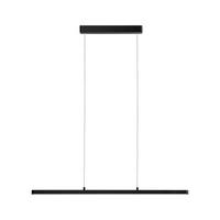 Led-hängeleuchte Lento H: 150 Cm Höhenverstellbar - Schwarz, Design, Kunststoff/Metall (100/150cm) - Paulmann