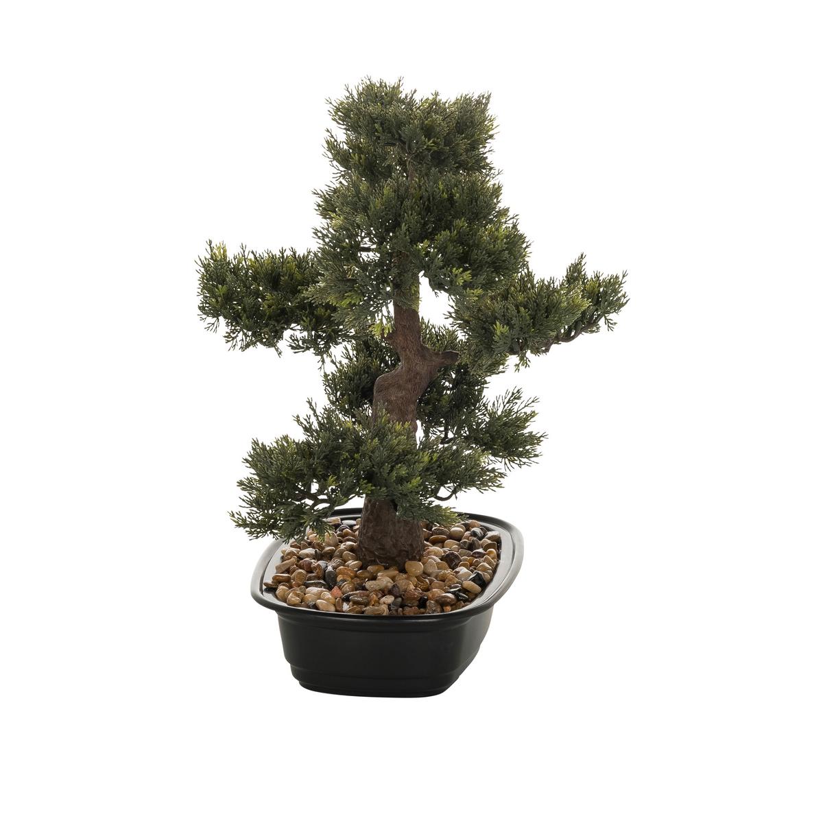 Bonsai Bonsai - Schwarz/Braun, Basics, Kunststoff (38/44/20cm) - MID.YOU
