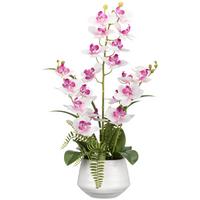 Orchidee Doris - Pink/Weiß, KONVENTIONELL, Keramik/Kunststoff (15/53cm) - Luca Bessoni