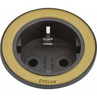 Steckdosenelement Evoline One - Messingfarben/Schwarz, Basics, Kunststoff (5,9/5,9/5,4cm) - HKT