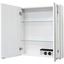 Spiegelschrank LED-Line 61 cm Weiß - Weiß, MODERN, Glas/Holzwerkstoff (61/67/16,5cm) Spiegelschrank LED-Line 61 cm Weiß - Weiß, MODERN, Glas/Holzwerkstoff (61/67/16,5cm)