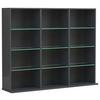 Regal Zilas Anthrazit Dekor B: 102cm - Anthrazit, Design, Glas/Holzwerkstoff (102/82/23cm) - MID.YOU