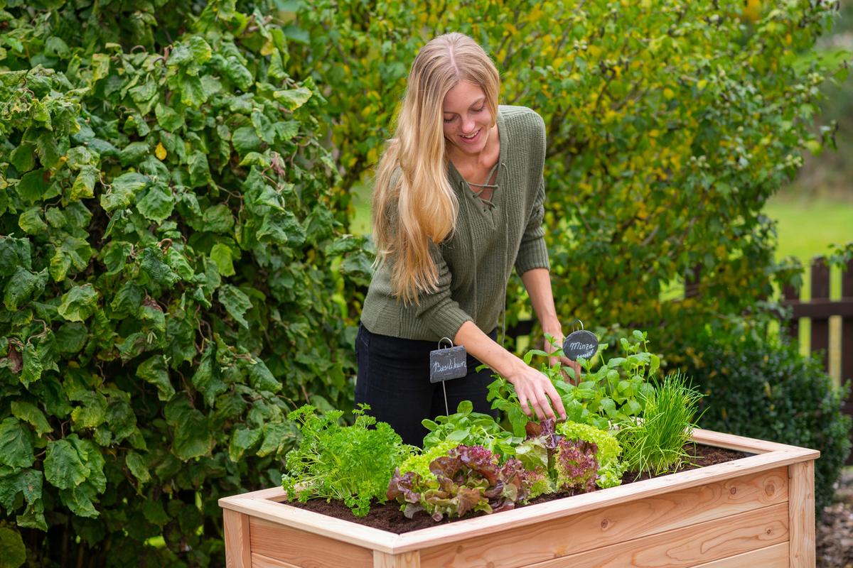Hochbeet Echtholz Lärche 120x75x65 Cm Lärchefarben - Lärchefarben, Basics, Holz (120/75/65cm)