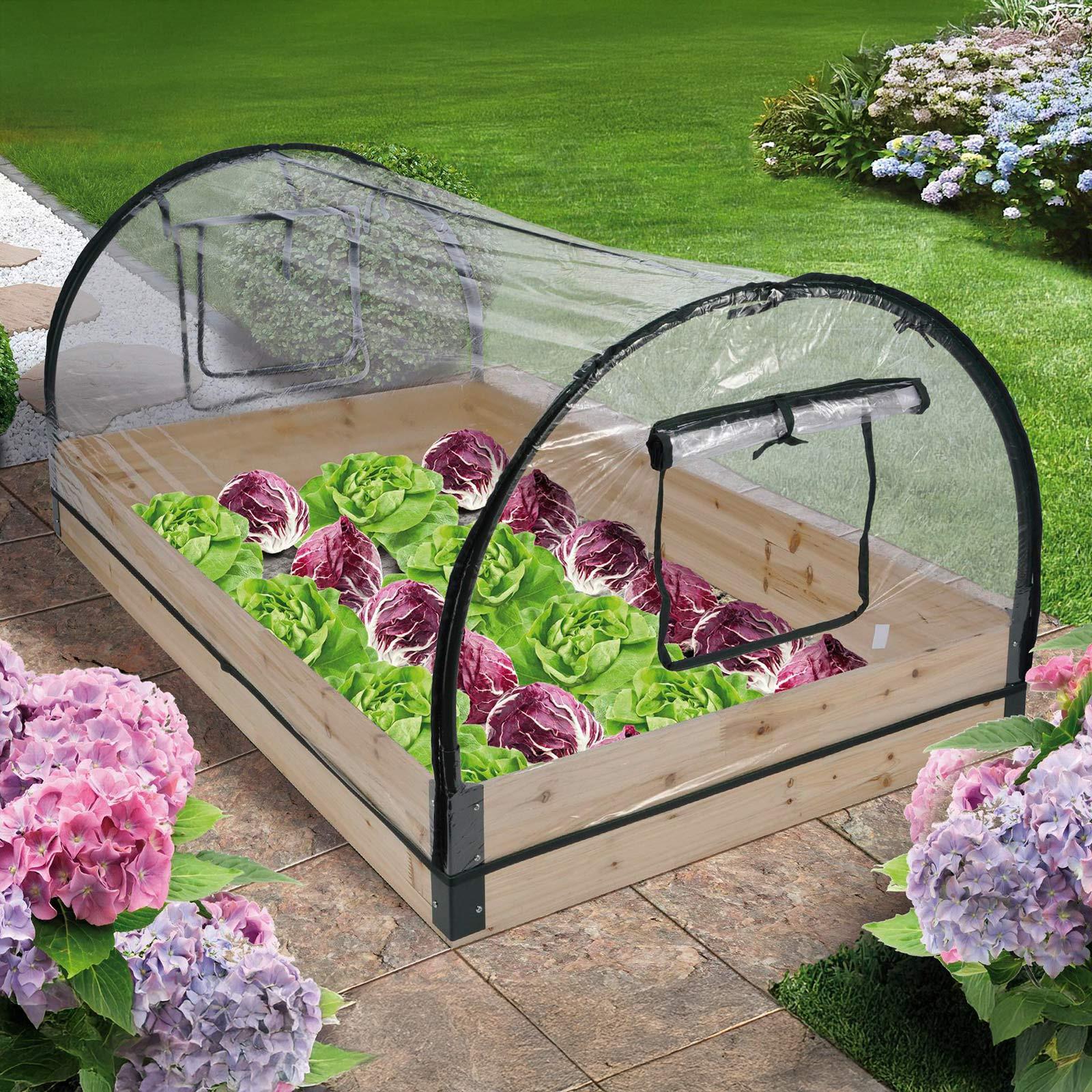 Frühbeet Kunststoff/Metall/ Holzrahmen LxBxH: 80x120x50 cm