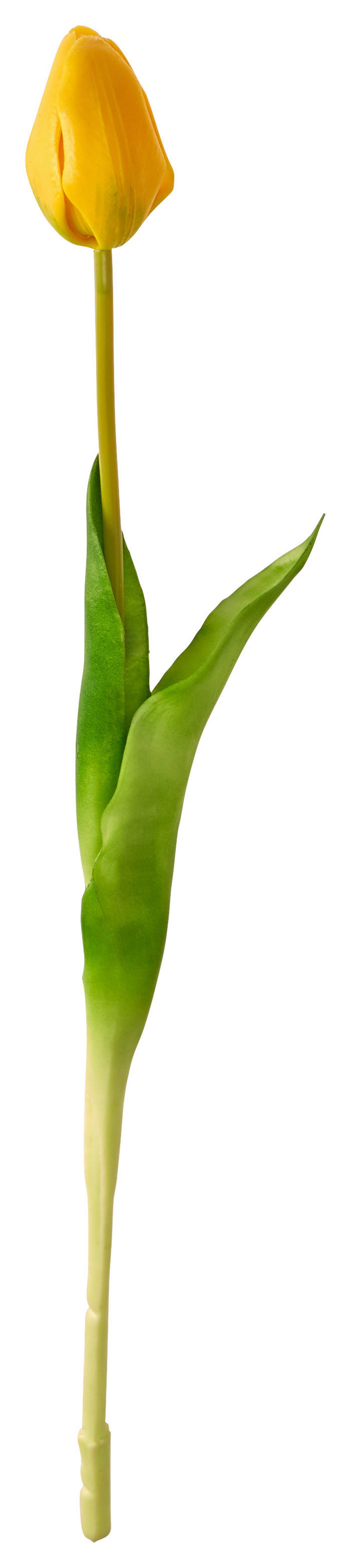 Kunstpflanze Tulpe Gelb L: 44 Cm, Celice - Gelb/Grün, Basics, Kunststoff (44cm)