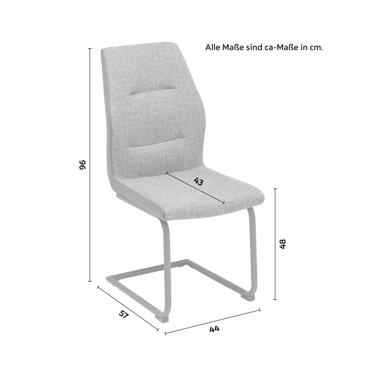 Židle Canio tmavěšedá - černá/tmavě šedá, Moderní, kov/dřevo (44/96/57cm) - Bessagi Home