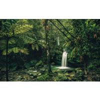 Vliestapete Sh008-Vd4 my Hidden Treasure - Natur (400/250cm)