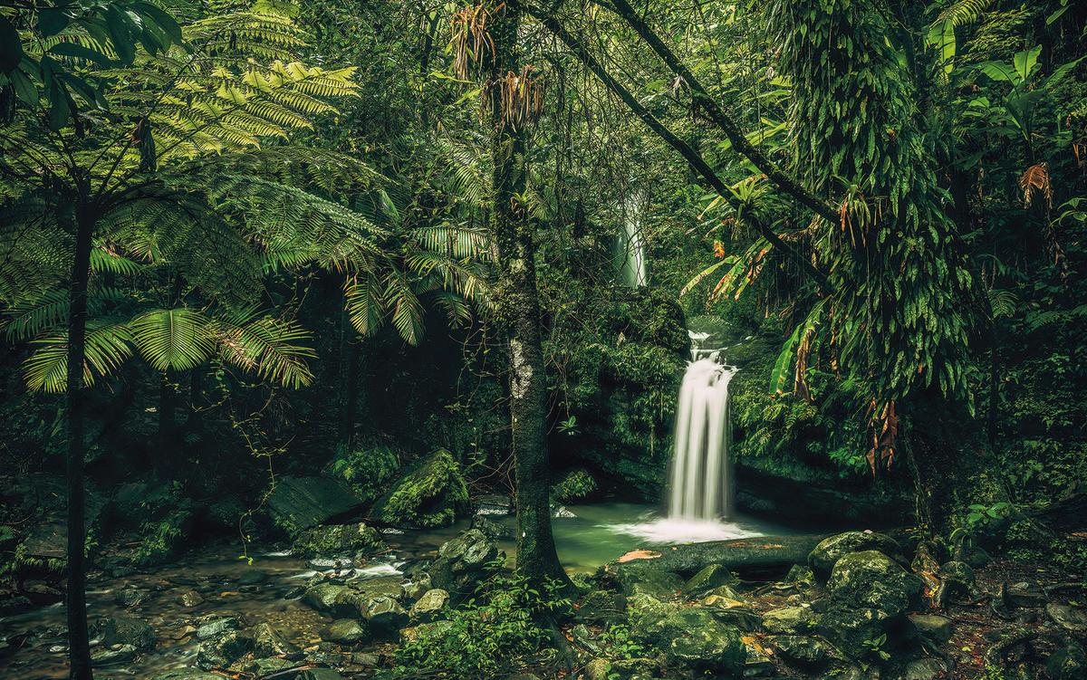 Vliestapete Sh008-Vd4 my Hidden Treasure - Natur (400/250cm)