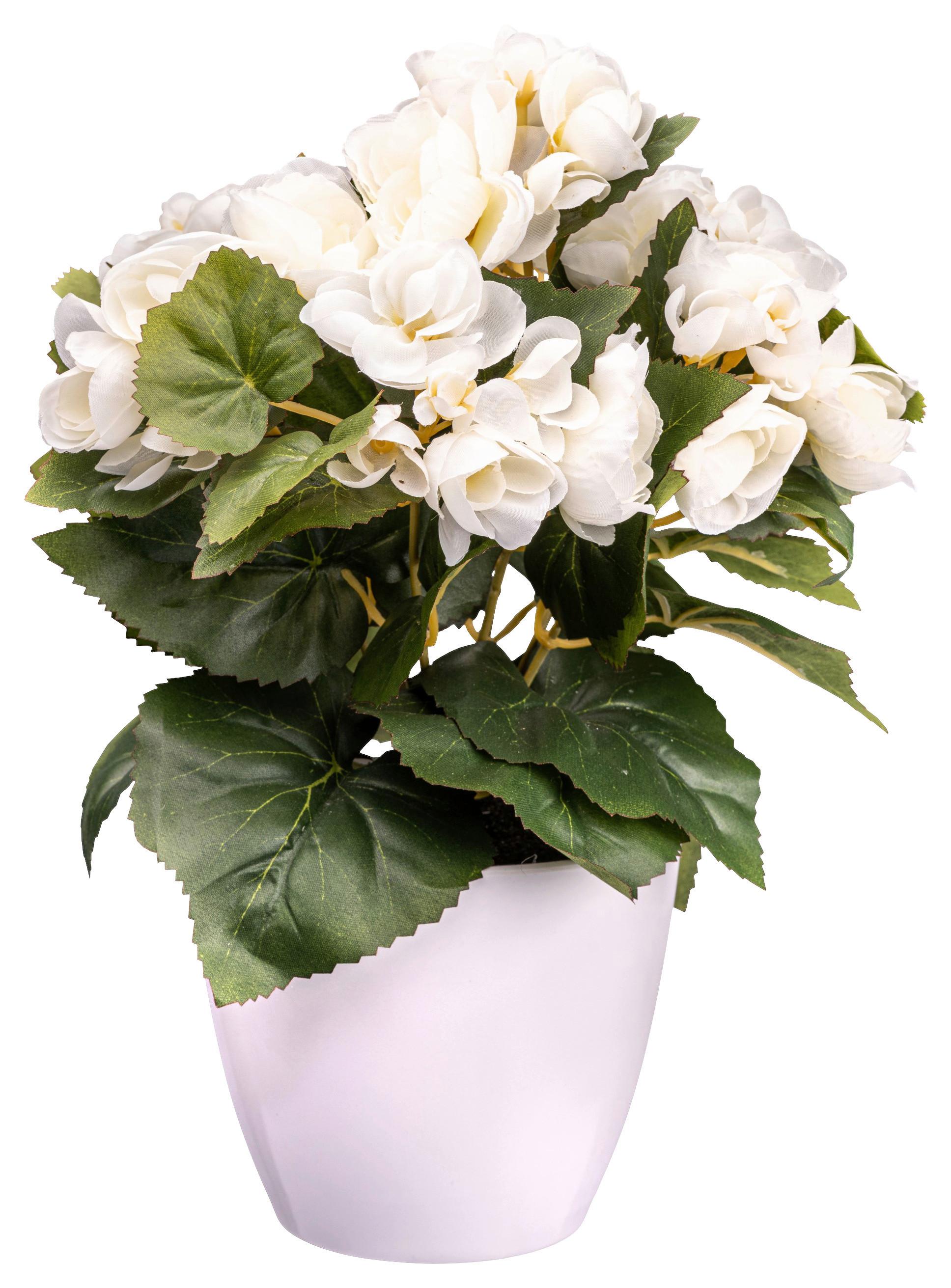 Kunstpflanze Blühpflanzen Creme/Grün/Weiß, 28 cm - Creme/Weiß, Design, Kunststoff (28cm) - P & B