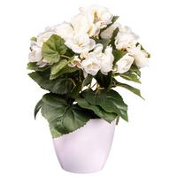 Kunstpflanze Blühpflanzen Creme/Grün/Weiß, 28 cm - Creme/Weiß, Design, Kunststoff (28cm) - P & B