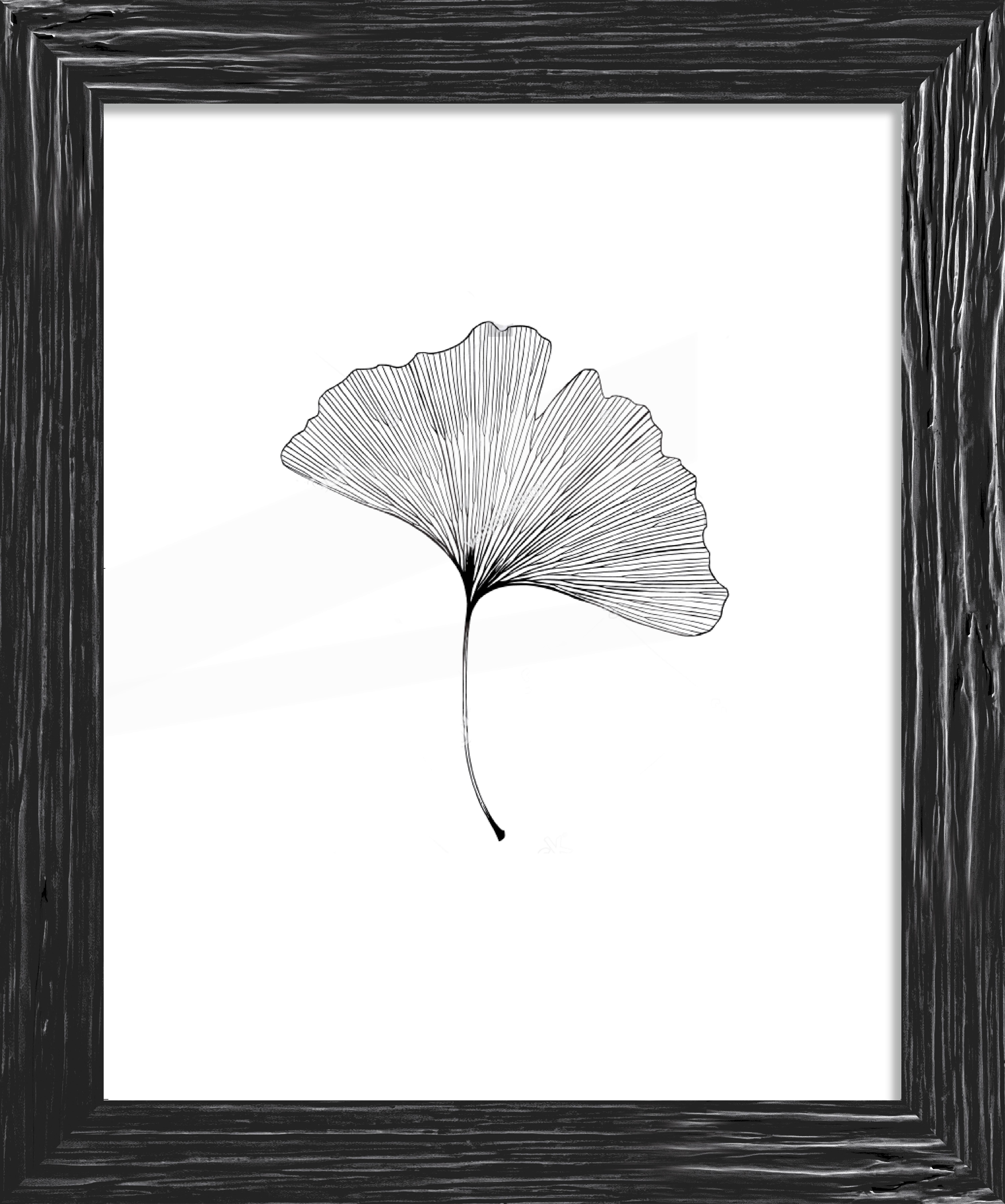 Rám Na Obrazy Frido, 40/50cm - černá, Romantický / Rustikální, dřevo (40/50cm) - ecoTree