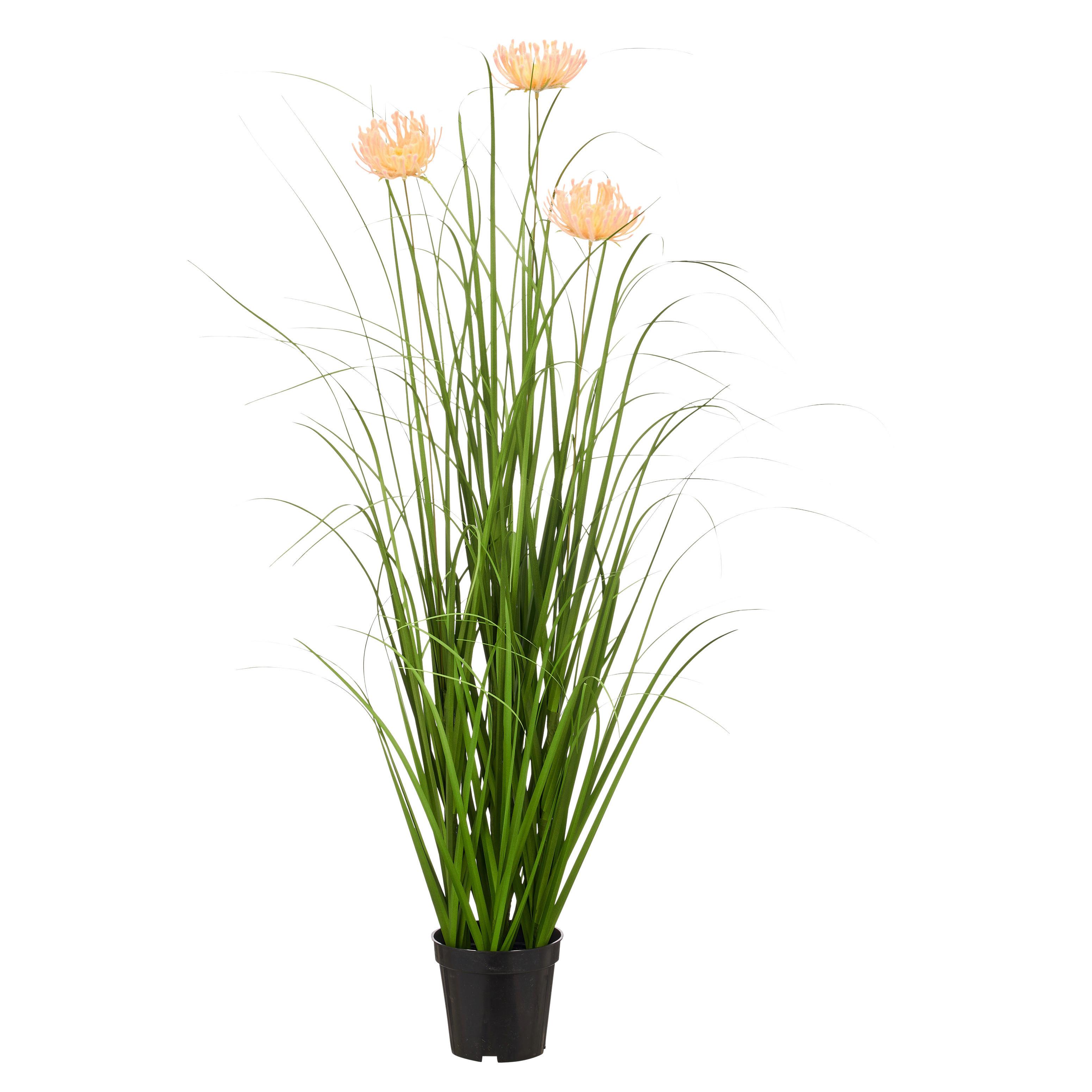 Svazek trávy BLOSSOM I -PAZ- - zelená/meruňková, Basics, kov/plast (100cm) - Mömax