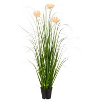 Svazek trávy BLOSSOM I -PAZ- - zelená/meruňková, Basics, kov/plast (100cm) - Mömax