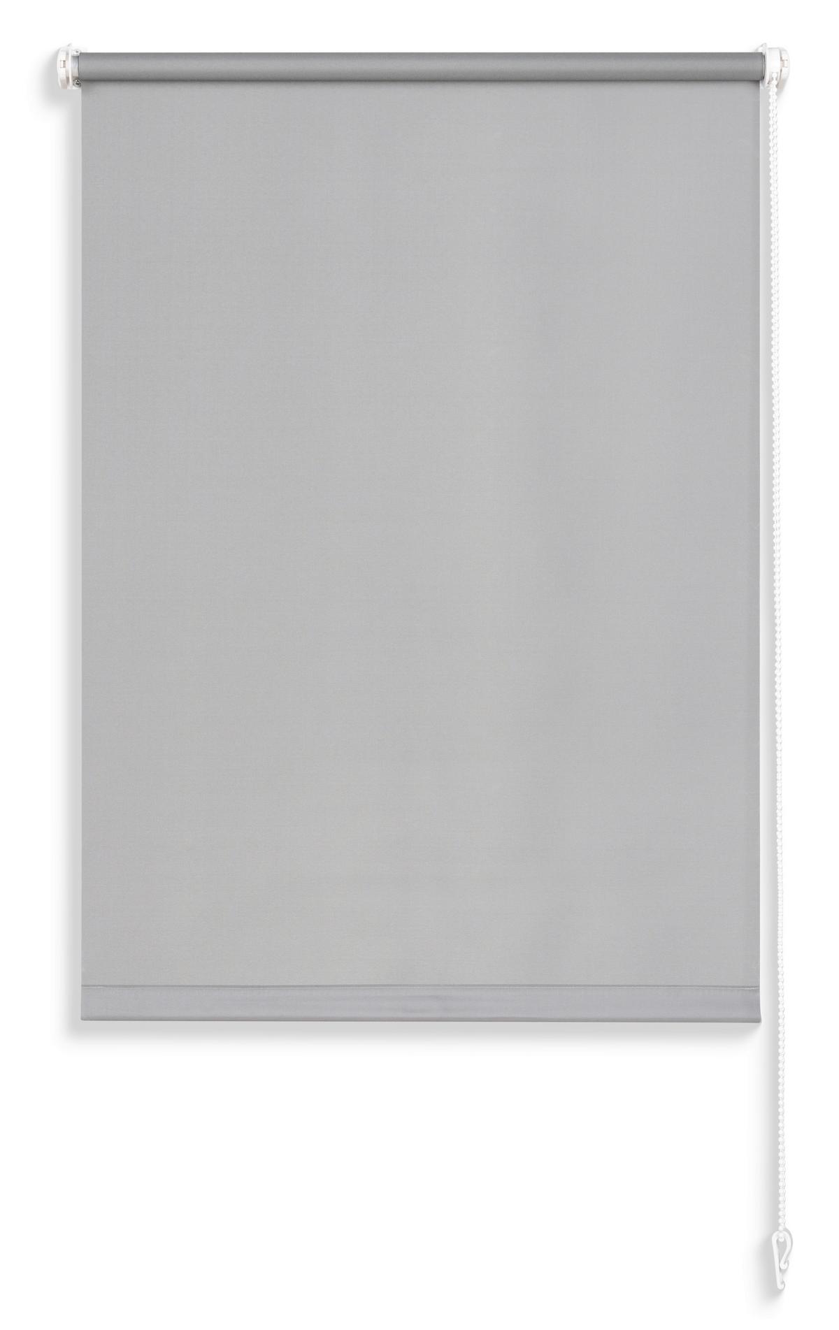 Rollo Mona - Anthrazit, MODERN, Kunststoff (60/160cm) - Luca Bessoni