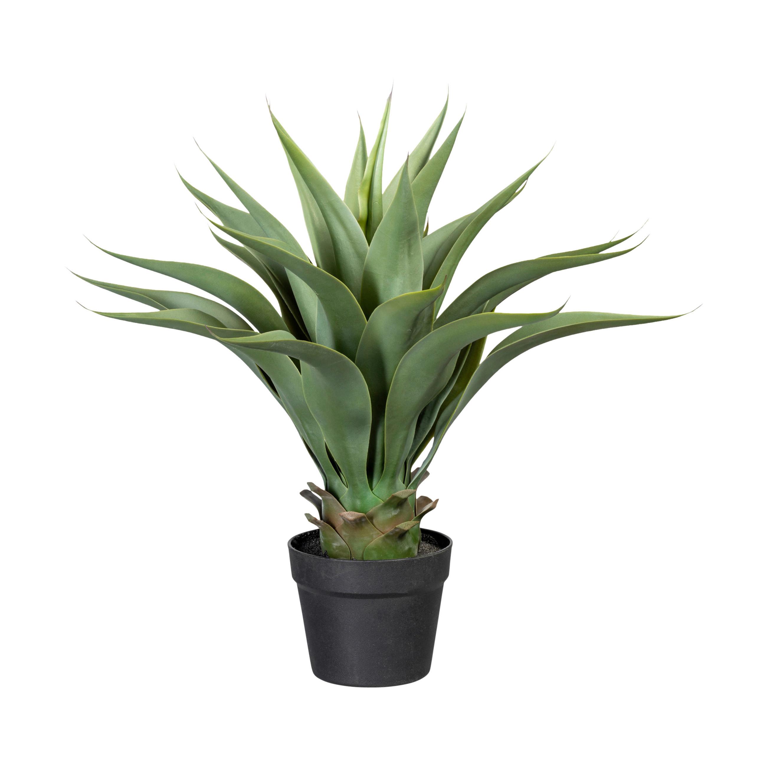 Kunstpflanze Sukkulenten Grau/Grün, 57 cm - Schwarz/Braun, Design, Kunststoff (57cm)