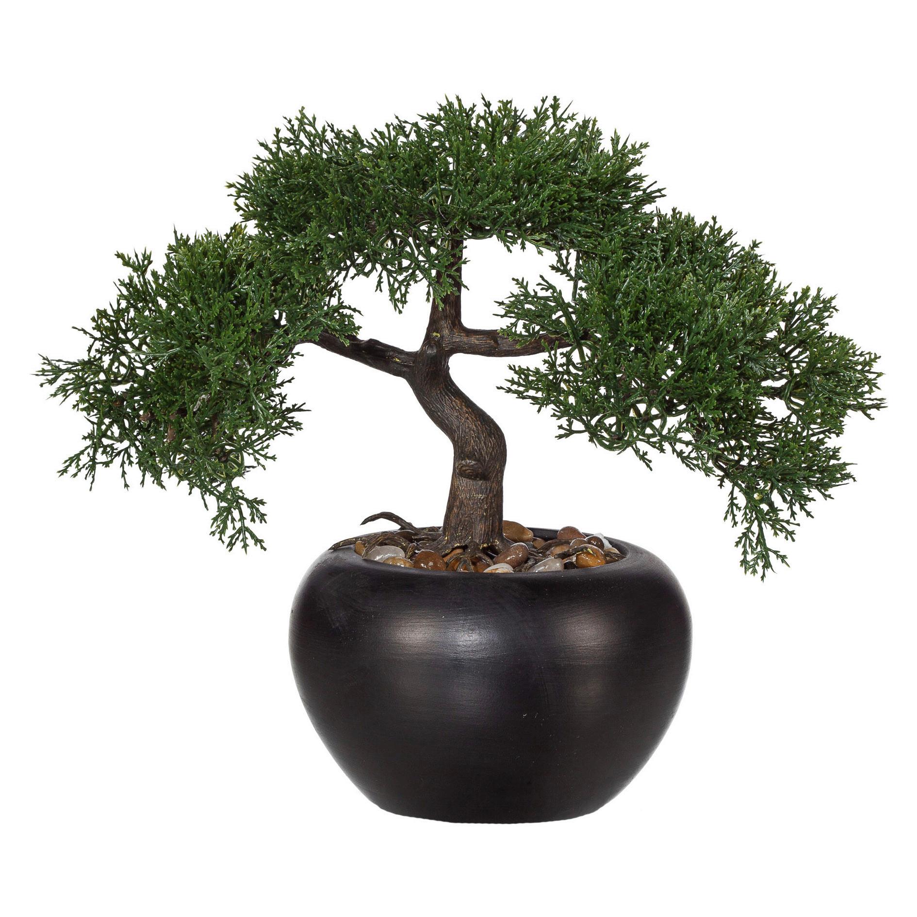 Umělá rostlina BONSAI I -PAZ- - černá/zelená, Basics, plast/keramika (26cm) - Mömax