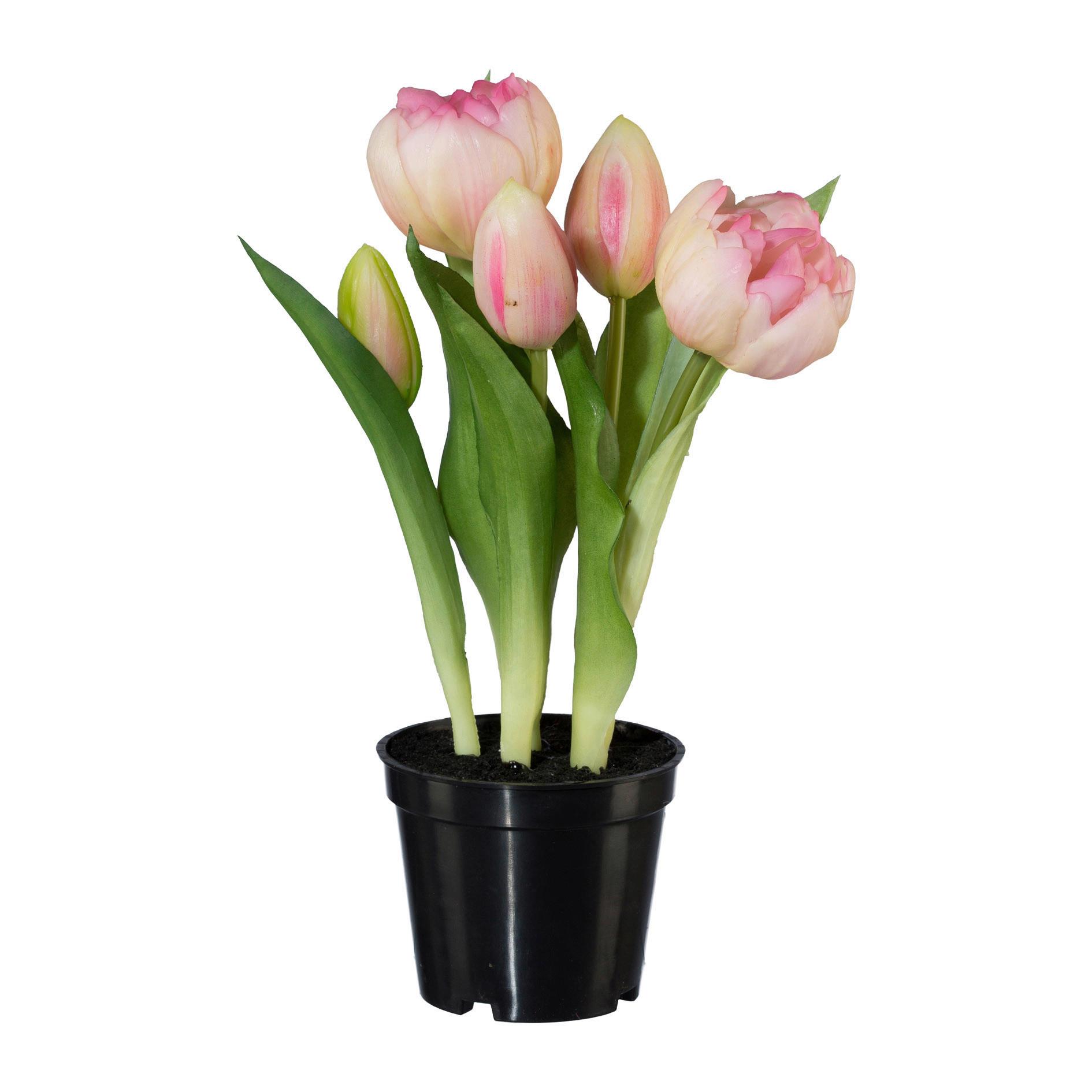 Umelá rastlina Tulipány, V: 25cm - čierna/zelená, Basics, plast (25cm) - Modern Living