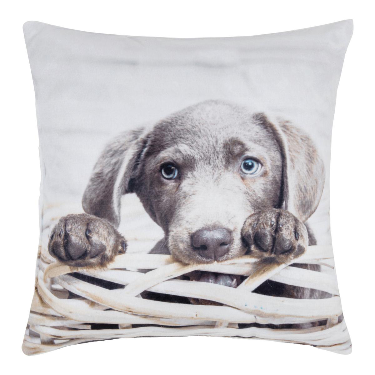 Dekorační polštář Mini, 25/25cm - vícebarevná, textil (25/25cm) - Modern Living