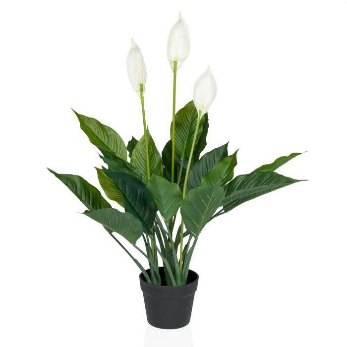 KUNSTPFLANZE Grün/Weiß B: 26 cm - Schwarz/Weiß, MODERN, Kunststoff (26/80/26cm) - MID.YOU
