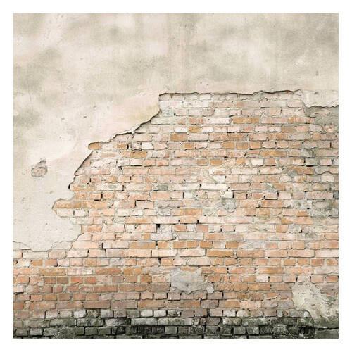 Fototapete 101877 - Braun, Basics, Papier/Kunststoff (300/300cm)
