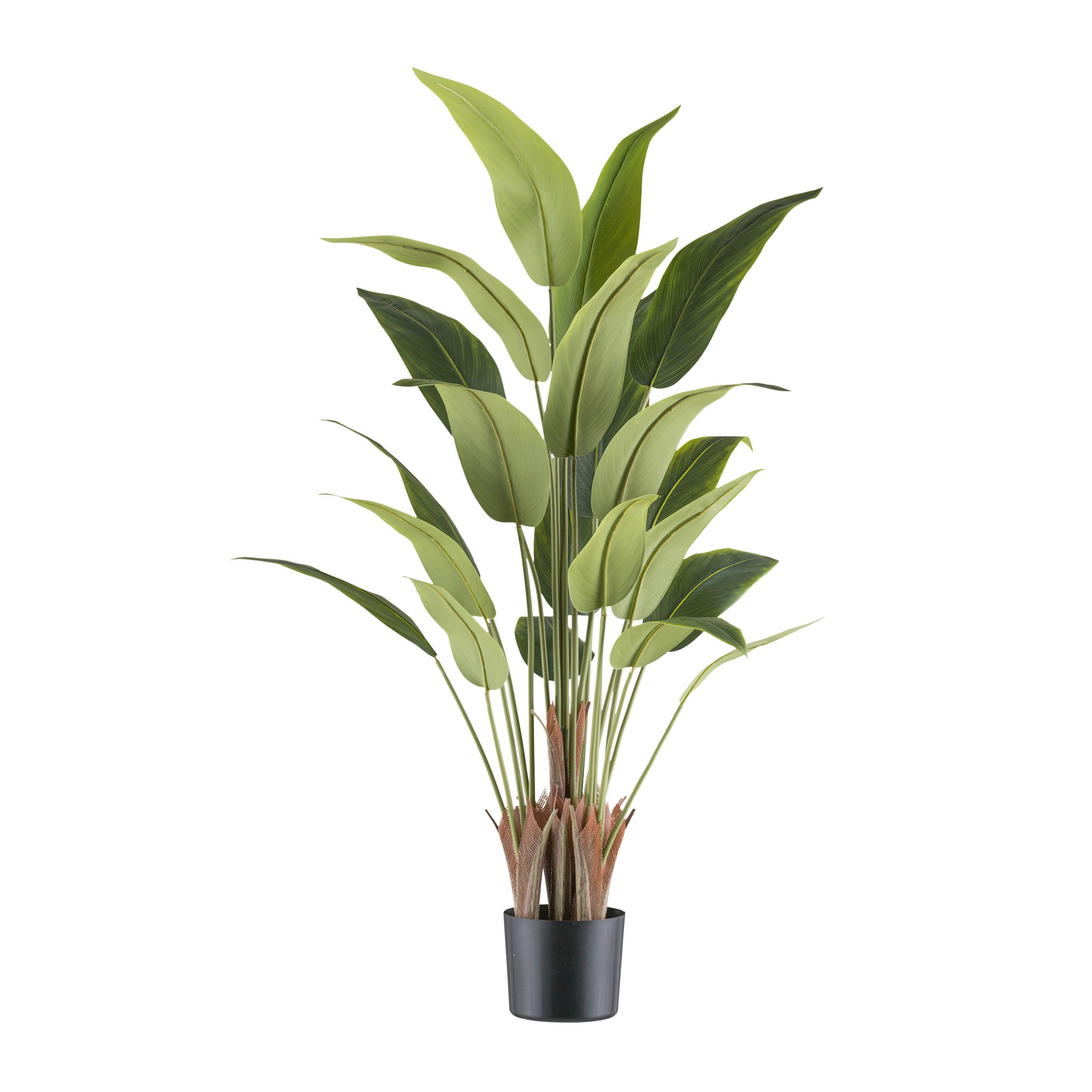 Kunstpflanze Strelitzie H: 120 cm - Schwarz/Braun, Design, Kunststoff (120cm)