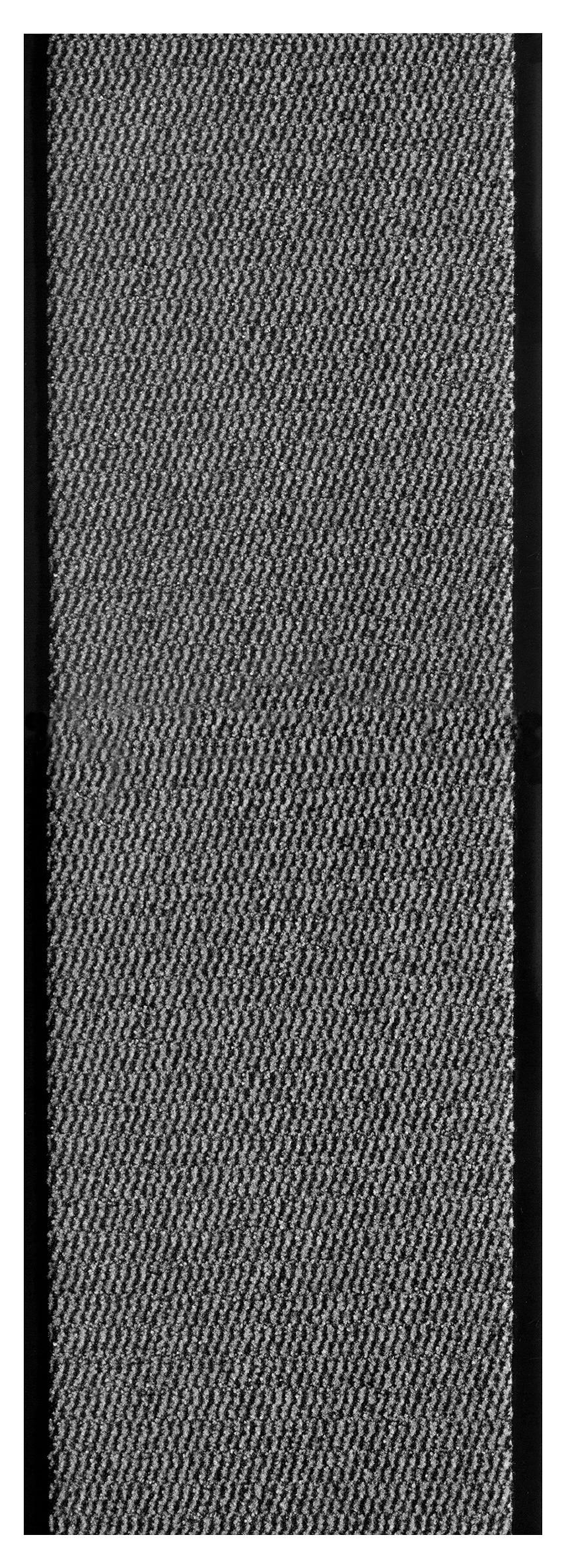 Läufer Entree - Hellgrau, Basics, Kunststoff (120/300cm) - Novel