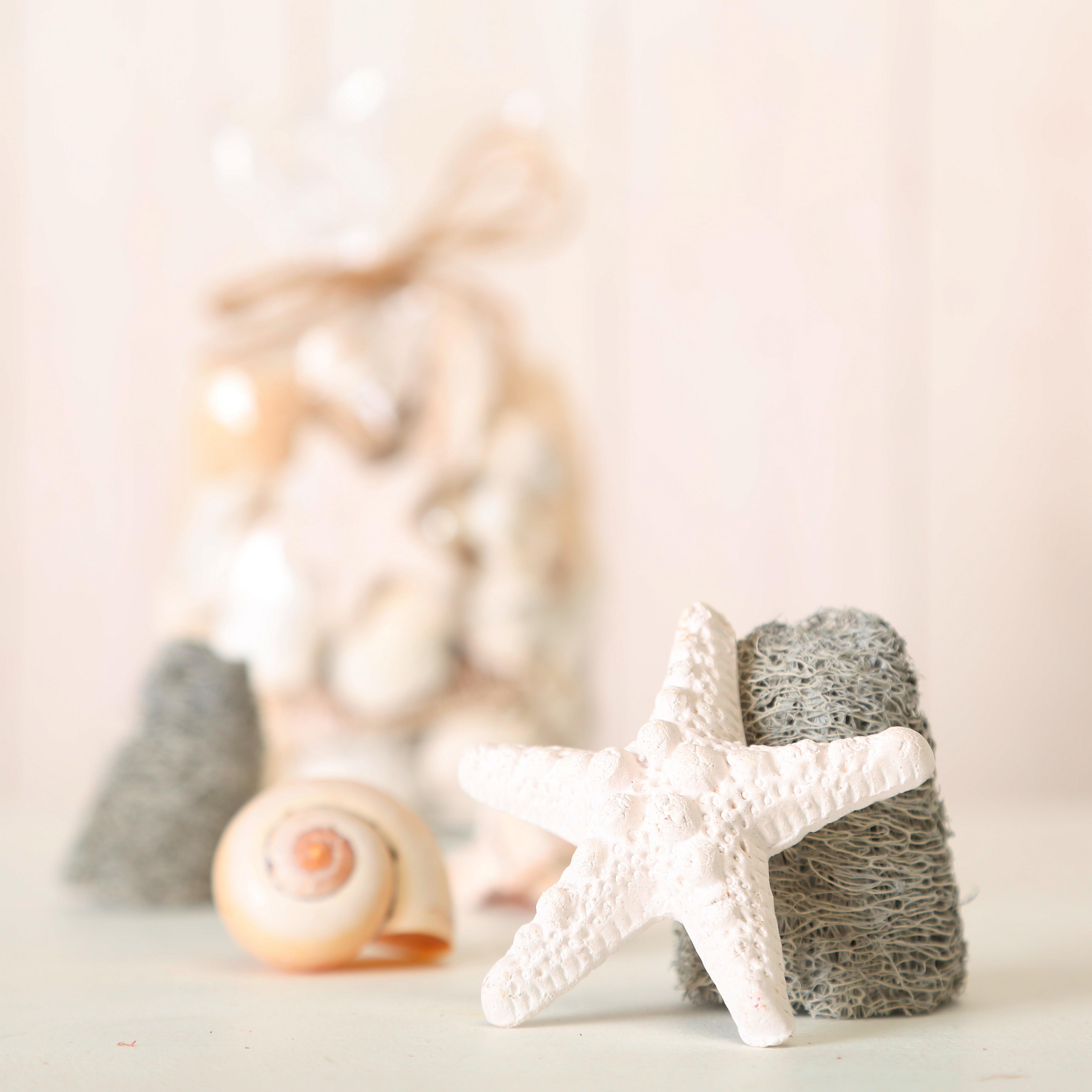 Potpourri Karibik - Bézs/Szürke, Lifestyle, Természetes anyagok (12/8/22cm)