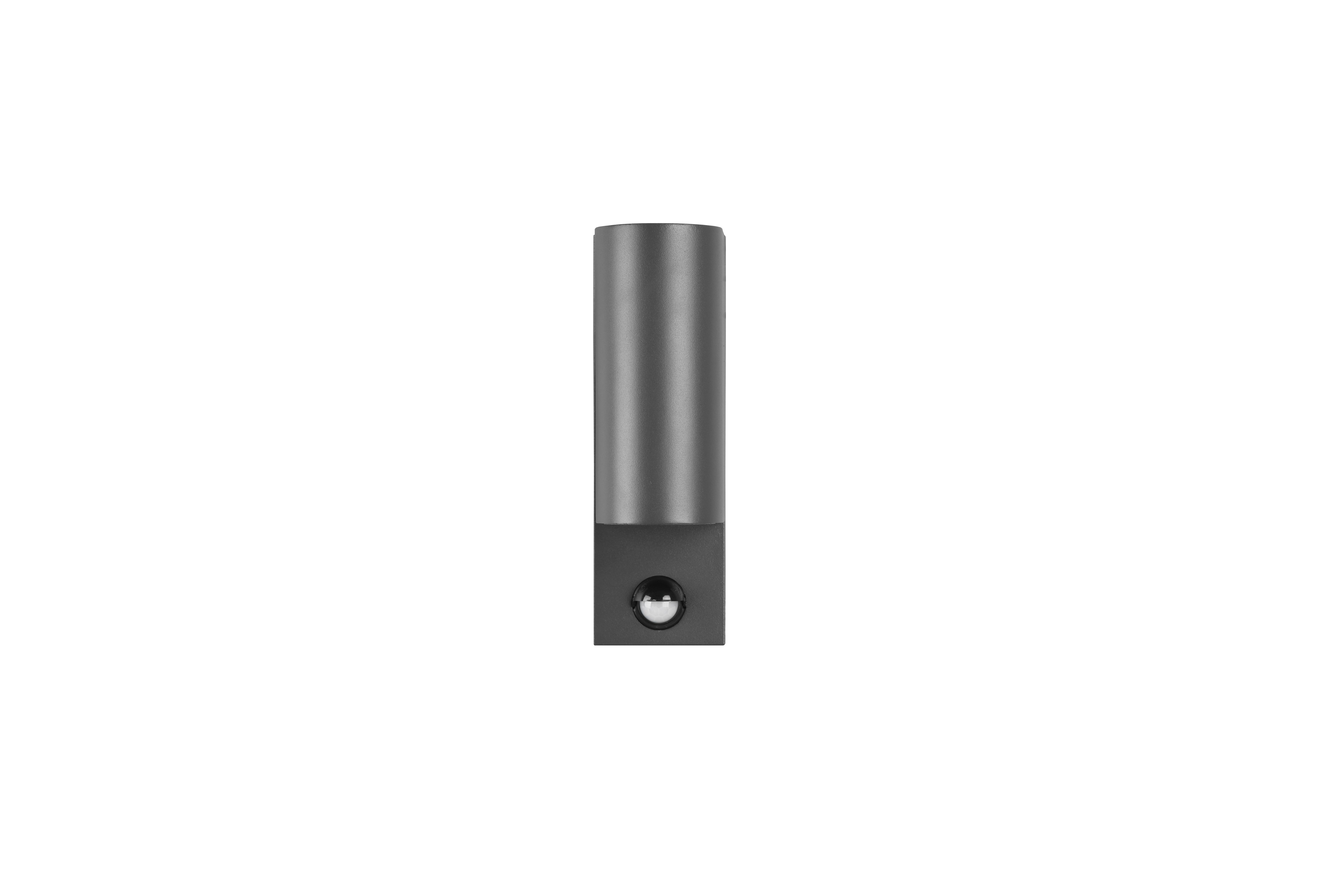 Außenwandleuchte 214260242 Roya - Anthrazit, Basics, Metall (7/22/11,8cm) - Trio Leuchten