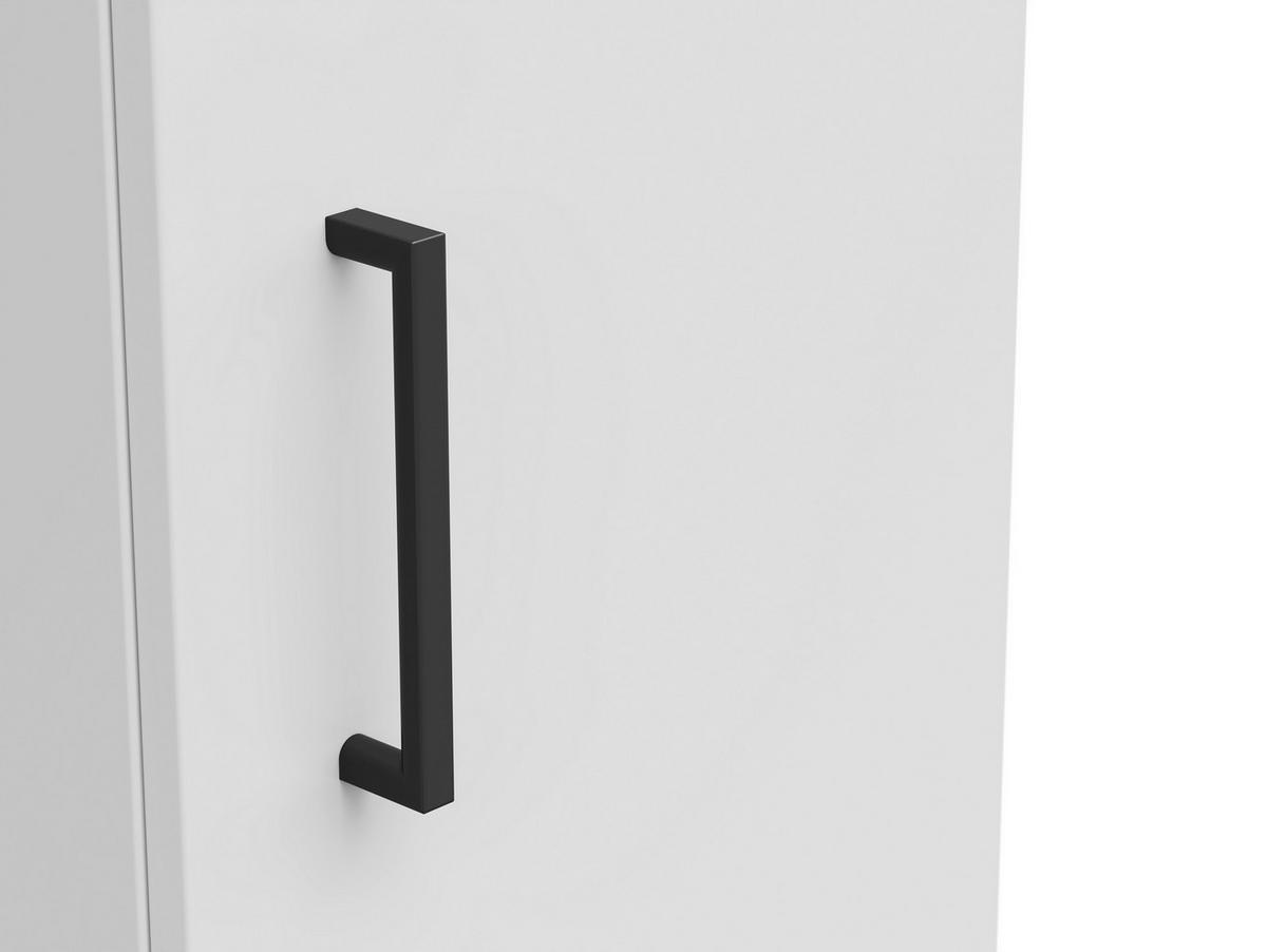 Skriňa MULTISTAURAUM š: 30cm - čierna/biela, Modern, kompozitné drevo/plast (30/195/40cm)
