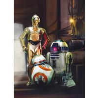 Fototapete Star Wars - Multicolor, Design, Papier (184/254cm)