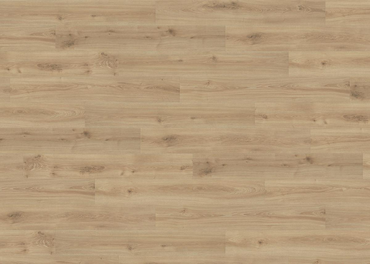 Laminatboden Eiche Olbia Str. Matt - Honigeiche, Basics, Holzwerkstoff (19.3/128.2cm) - Living by HARO