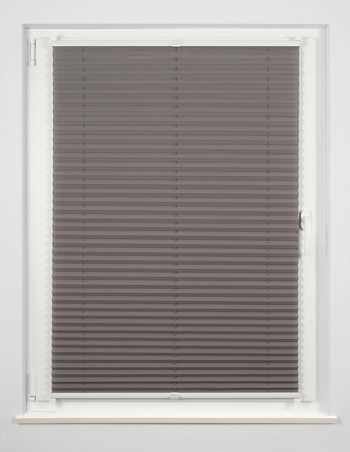 Plissee Free Hellgrau B: 100 Cm - Hellgrau, Basics, Textil (100/130cm) - Homeware