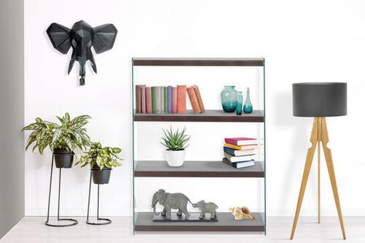 Regal Elementary B: 83 cm Dunkelbraun/Glas Transparent - Dunkelbraun, MODERN, Glas/Holzwerkstoff (83/113/29,5cm) - Kayoom