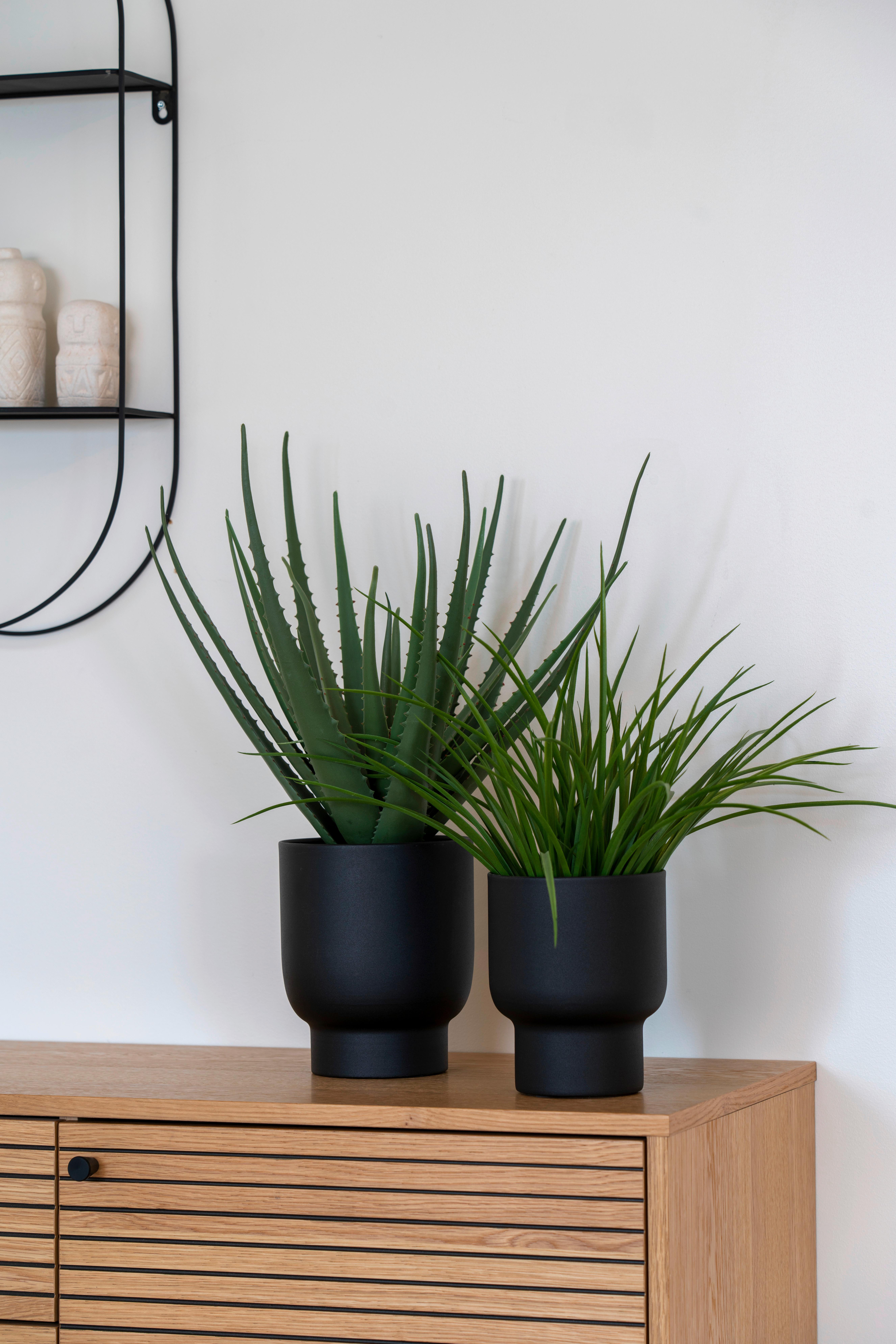 Kunstpflanze Grass Grün B: 51 cm - Grün, Design (51/45/51cm)