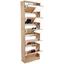 Schuhschrank Sg15 - 2 - Eichefarben, MODERN, Holzwerkstoff (58/170/18cm) Schuhschrank Sg15 - 2 - Eichefarben, MODERN, Holzwerkstoff (58/170/18cm)